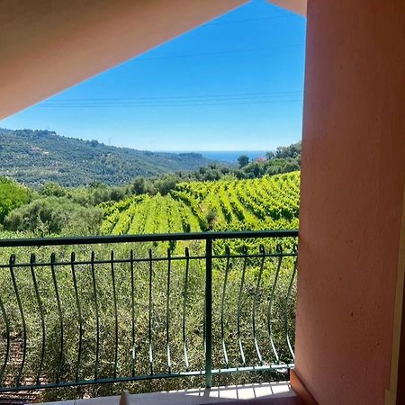 Agriturismo Ada Musso Ss Diano Borello Екстер'єр фото