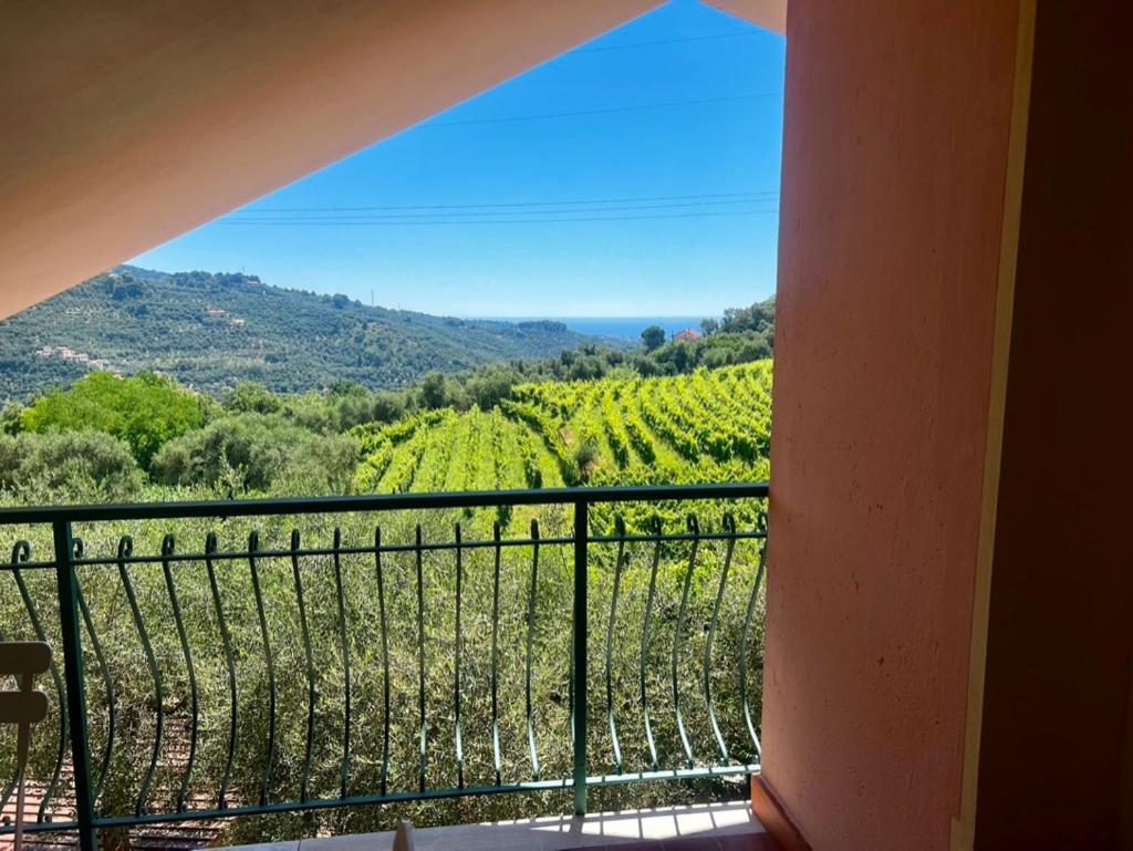 Agriturismo Ada Musso Ss Diano Borello Екстер'єр фото