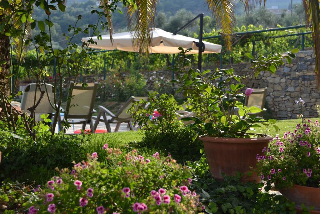 Agriturismo Ada Musso Ss Diano Borello Екстер'єр фото