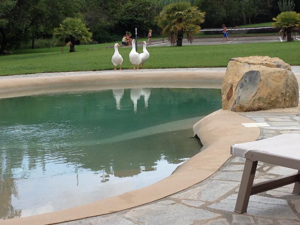 Agriturismo Ada Musso Ss Diano Borello Екстер'єр фото