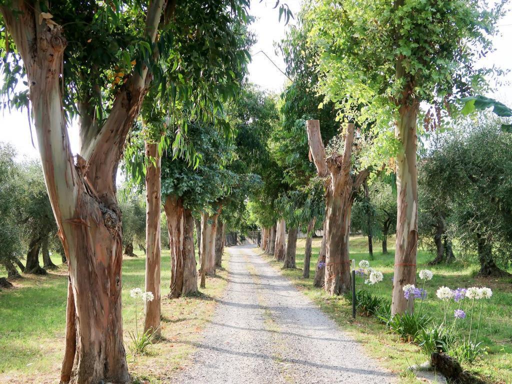 Agriturismo Ada Musso Ss Diano Borello Екстер'єр фото